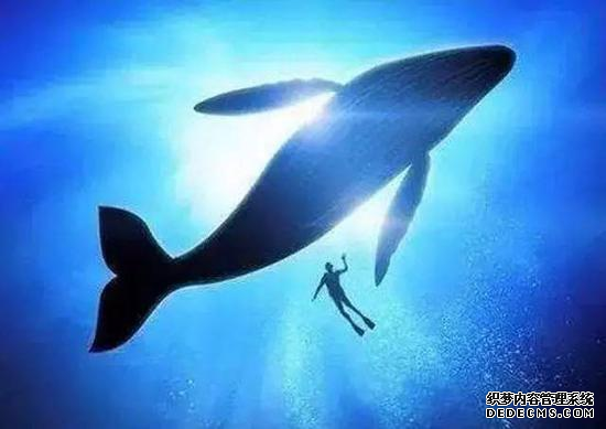 爱心聚汇情满申江 2016慈善晚会暨“大学生微营销创意大赛”